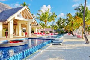 科卢马杜卢Kandima Maldives的棕榈树度假村游泳池