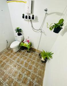 高兰深海海景民宿的浴室配有卫生间和墙上的植物