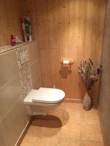 Habère-PocheLe chalet de Doucy Bardet的木墙浴室设有卫生间