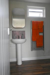 BadseyMyrtle的浴室设有水槽、镜子和橙色毛巾。