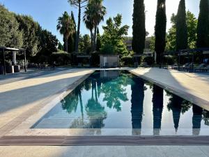 蒂沃利La Tenuta di Rocca Bruna Country Resort的棕榈树公园内的游泳池