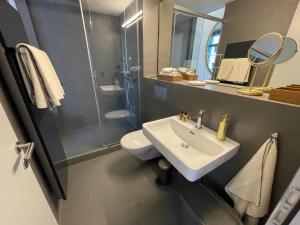 苏黎世Exclusive one room apartment next to Zürich main station的一间带水槽、卫生间和淋浴的浴室