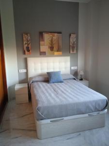 塞维利亚Estudio Fibes-Lux Sevilla的一间卧室配有一张带蓝色枕头的床