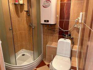 卡拉甘达Уютная квартира Н.Абдирова 32的一间带卫生间和淋浴的小浴室