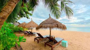 卡农Margarita Beach的海滩上的一组椅子和遮阳伞