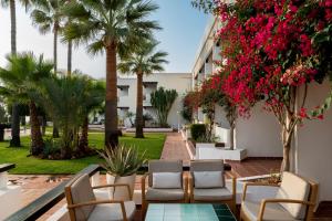 莫哈卡尔莫哈卡尔旅馆的庭院里种有椅子和鲜花,棕榈树