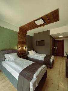 索瓦塔Pensiunea Senin的一间酒店客房,设有两张床和电视