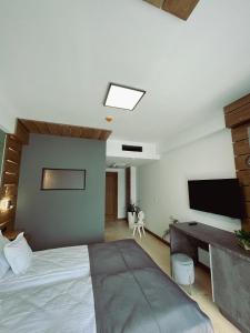 索瓦塔Pensiunea Senin的一间卧室配有一张床、一张书桌和一台电视