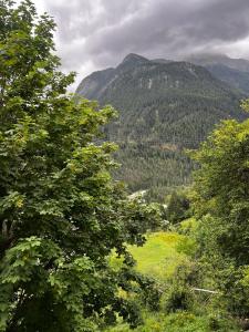 散特Chasa Crusch的享有树木和山脉的山谷美景