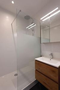 滑铁卢Plein centre de Waterloo!的一间带水槽和玻璃淋浴的浴室