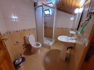 费特希耶Cetin Pansiyon的浴室配有卫生间、淋浴和盥洗盆。