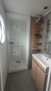劳雷尔苏格MOBILHEIM HERZ LAUWERSOOG - Chalet Robbengat的带淋浴和盥洗盆的浴室