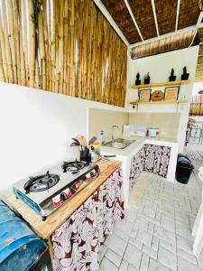 丹辘Kaha Briones Family Guest House的厨房配有炉灶和水槽