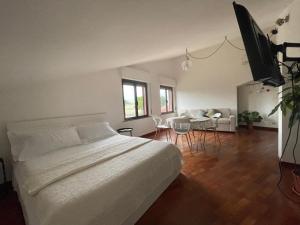 兰恰诺Casa Cecilia的一间卧室设有一张床和一间客厅。