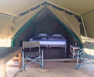 波切夫斯特鲁姆TangleWood Nature Estate的帐篷内提供一张床和椅子