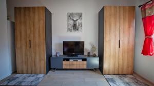 施卢赫湖Ferienwohnung Mayer的客厅配有2个木制橱柜和1台电视