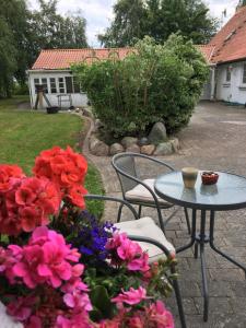 IdestrupStunning Romantic Cabin close to Baltic see的庭院配有桌椅和鲜花