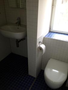 慕尼黑Schöne Wohnung Nahe Engl. Garten的一间带卫生间和水槽的浴室