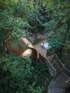 格伦科RiverBeds - Luxury Wee Lodges with Hot Tubs的森林中带游泳池的木甲板
