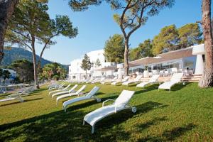 波蒂纳茨Grupotel Ibiza Beach Resort - Adults Only的坐在草地上的一排白色椅子