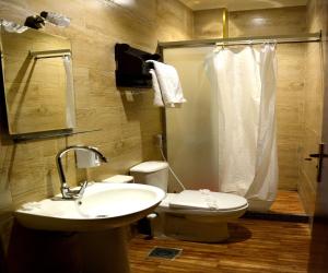 开罗Cairo Dream Boutique Hotel的一间带水槽、卫生间和淋浴的浴室
