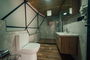 萨卡里亚SAPANCA BAMBOOLOW RESORT的一间带卫生间和水槽的浴室