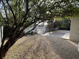 约翰内斯堡Le'Ciara Luxury Guest House的碎石车道中间的一棵树