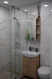 帕内韦日斯Sonata apartment的带淋浴、盥洗盆和卫生间的浴室
