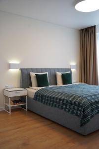 帕内韦日斯Sonata apartment的一间卧室配有一张带蓝色毯子的床