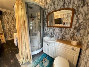 彻特西The Caduceus- Residence的一间带水槽、卫生间和镜子的浴室