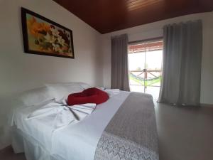戈亚斯州上帕莱索POUSADA ACONCHEGO CHAPADA的卧室配有白色的床和窗户。