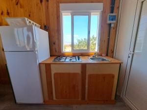 TriquivijateTiny house camión fijo en Islas Canarias的厨房配有白色冰箱和水槽