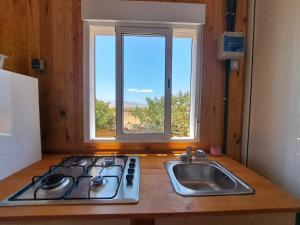 TriquivijateTiny house camión fijo en Islas Canarias的厨房配有炉灶、水槽和窗户。
