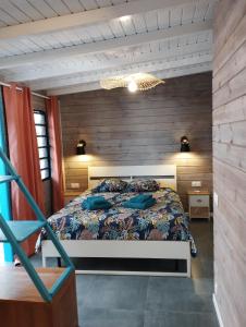 圣安尼Les Coulirooms - Gîte的一间卧室配有一张带蓝色枕头的床