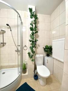 佩霍维采Z MIŁOŚCI DO GÓR Noclegi的浴室设有卫生间和墙上植物淋浴。