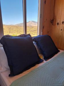 TriquivijateTiny house camión fijo en Islas Canarias的窗户间内的一张带蓝色枕头的床