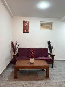 贝贾亚Mira loft的客厅配有紫色沙发和茶几