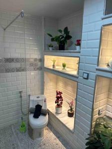 贝贾亚Mira loft的浴室设有卫生间,在架子上种植了植物