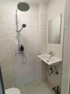 奥赫里德Guest House Stojanoski的白色的浴室设有水槽和淋浴。