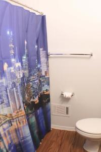 匹兹堡3 BR Southside Loft - Amazing Location的带淋浴帘和卫生间的浴室