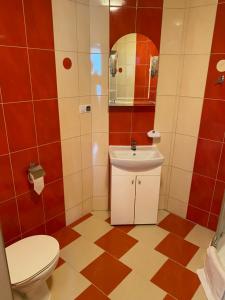 MiechówZajazd Miechus的一间带卫生间和水槽的浴室