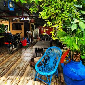 迪乌Dream Vision Guest House的蓝色椅子和桌子以及植物