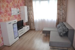 里加Julia Apartment Riga Imanta的带沙发和电视的小客厅