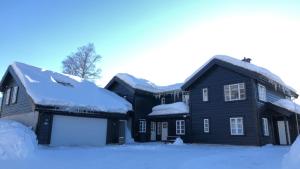 TjørhomFlott leilighet på Haugen i Sirdal的屋顶上积雪的黑色房子