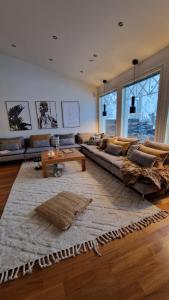 罗瓦涅米Arctic Circle Luxury House的客厅配有沙发和桌子