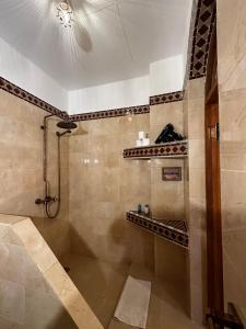 马拉喀什Riad La Calèche & SPA的带淋浴和淋浴的浴室
