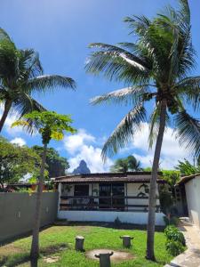 费尔南多 - 迪诺罗尼亚Bangalô completo, amplo, funcional e confortável.的两棵棕榈树在房子前面