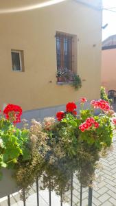 博洛尼亚Appartamenti Borghetto San Donato 105的窗户上一束红色的鲜花