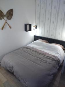 库尔瑟勒·苏尔·梅尔Le triplex Côté plage plein Sud的卧室内的一张床铺,墙上配有风扇