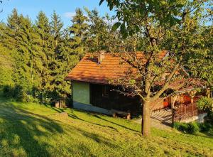 PolzelaHiška ob gozdu的绿色田野上一座红色屋顶的房子